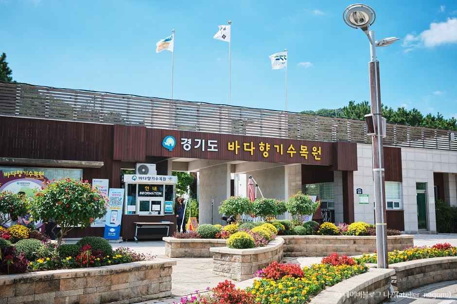 바다향기수목원 이미지 4