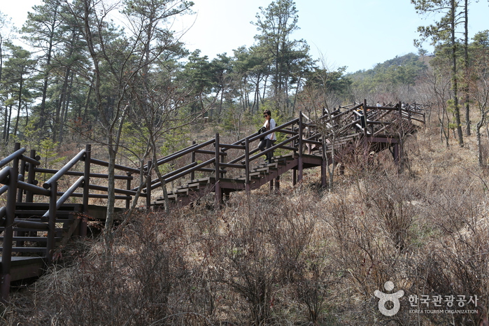 화성 우리꽃식물원 이미지 3