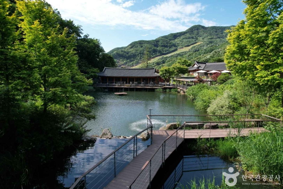 화담숲 이미지 4