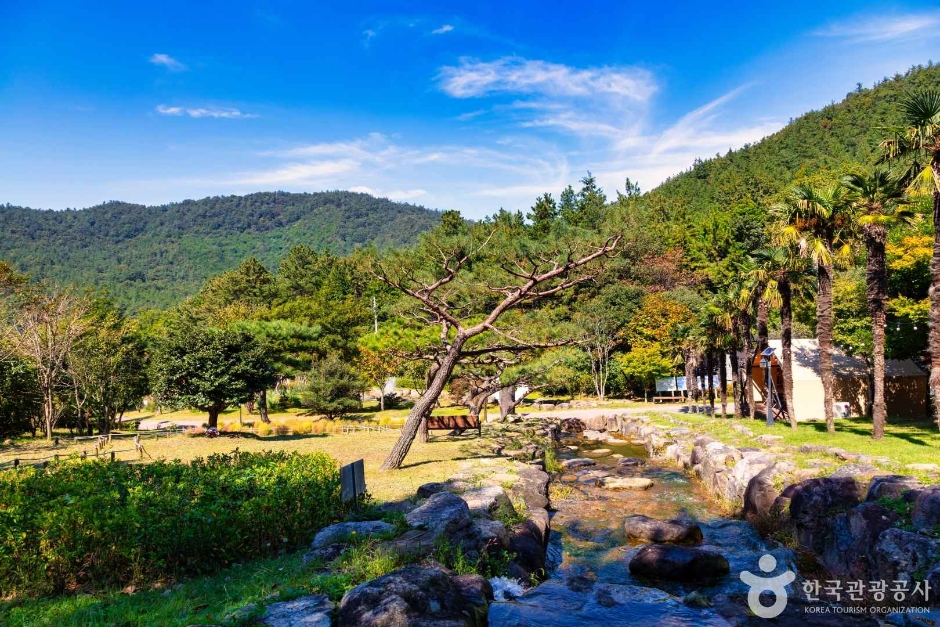하늘빛수목원 이미지 3