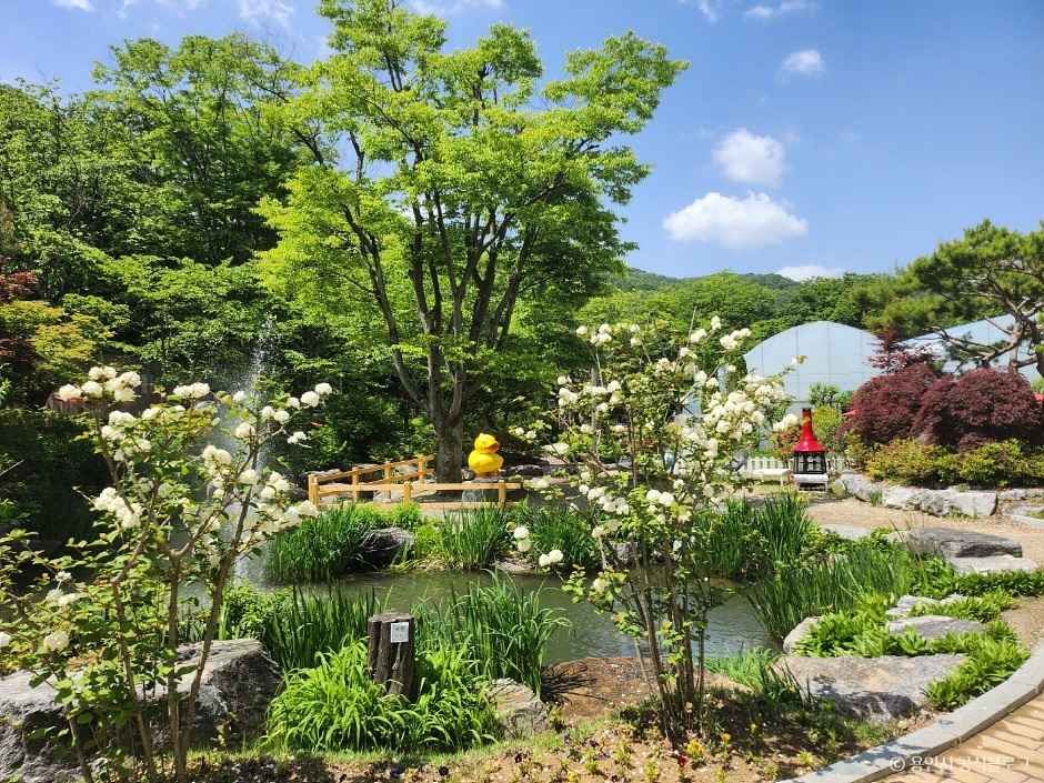 동천자연식물원 이미지 1