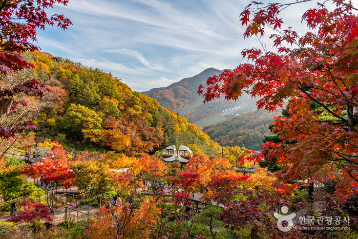 화담숲 이미지 1