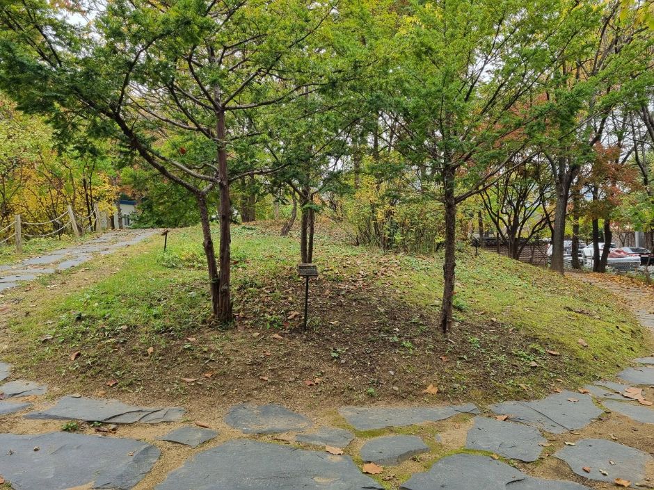국립중앙박물관전통염료식물원 이미지 4