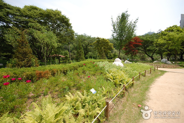 관악산공원 야외식물원 이미지 1