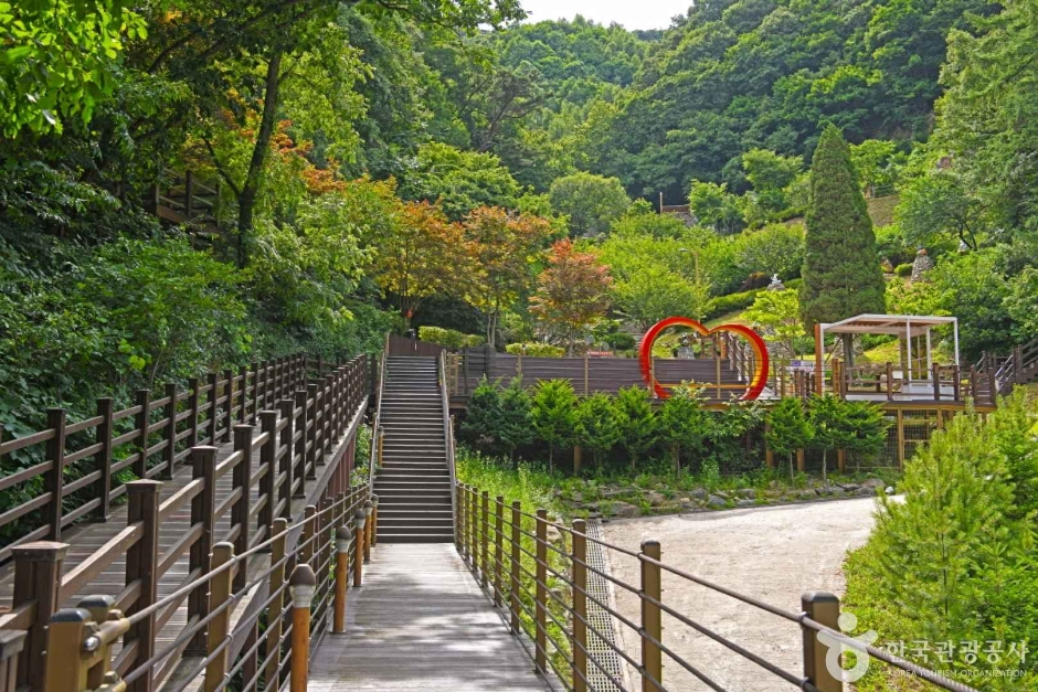 증평 좌구산 명상구름다리 이미지 3