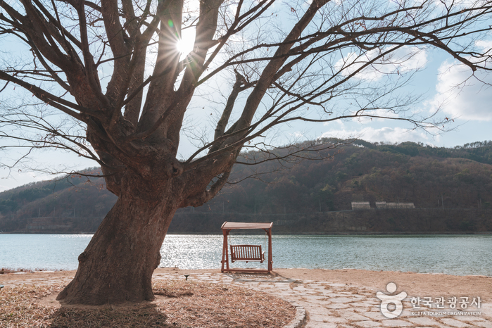 화천 반지교&아를테마수목공원 이미지 4