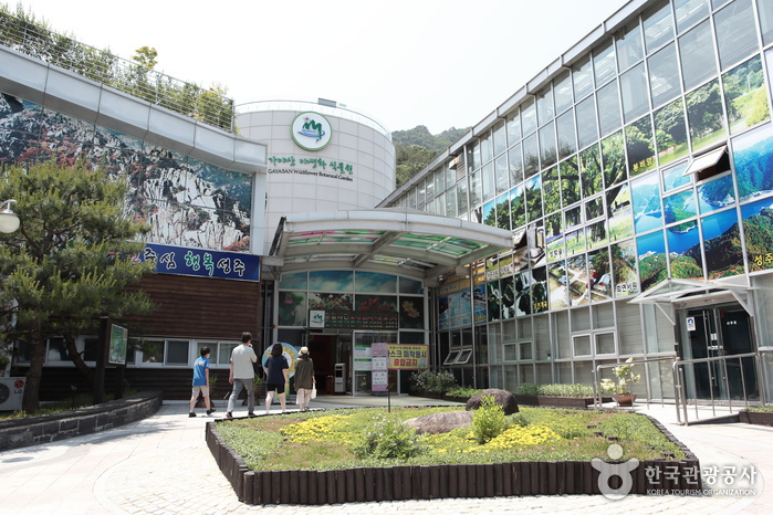 가야산 야생화식물원 이미지 1
