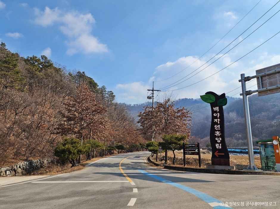 백야자연휴양림 이미지 1