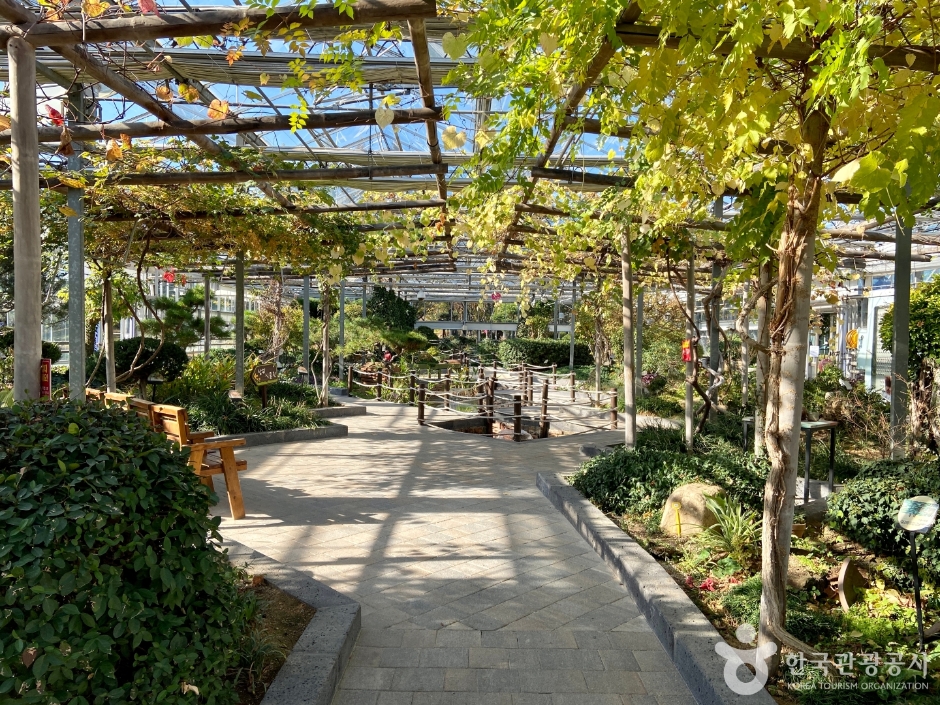 안산식물원 이미지 2