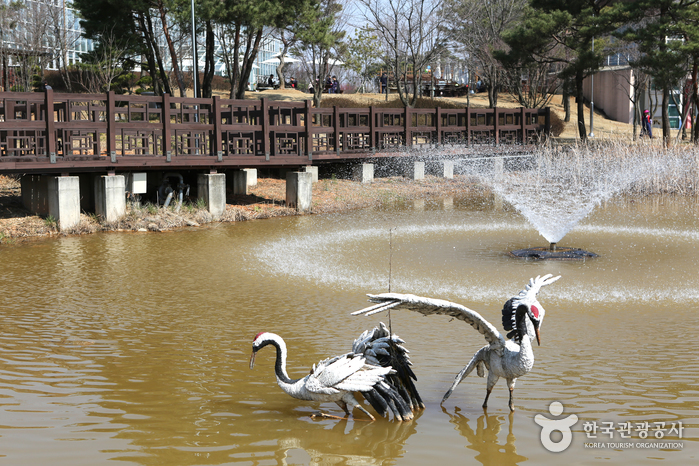 화성 우리꽃식물원 이미지 4