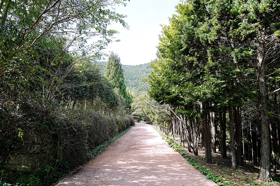 산유골수목공원 이미지 3