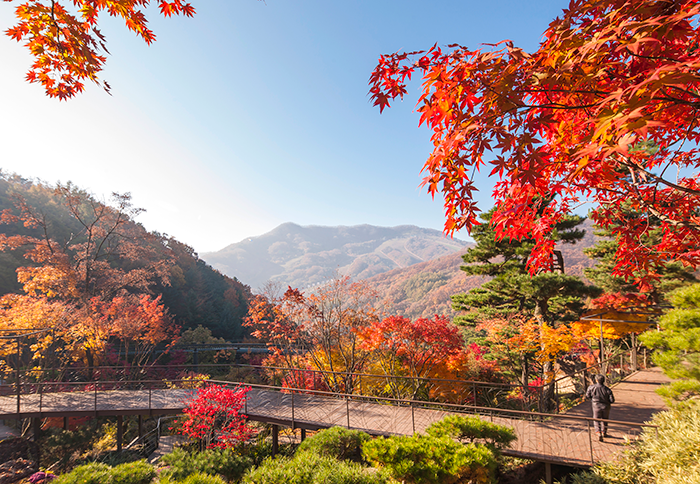 화담숲 이미지 7