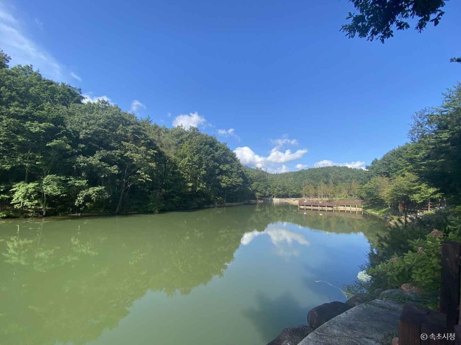 설악산 자생식물원 이미지 2