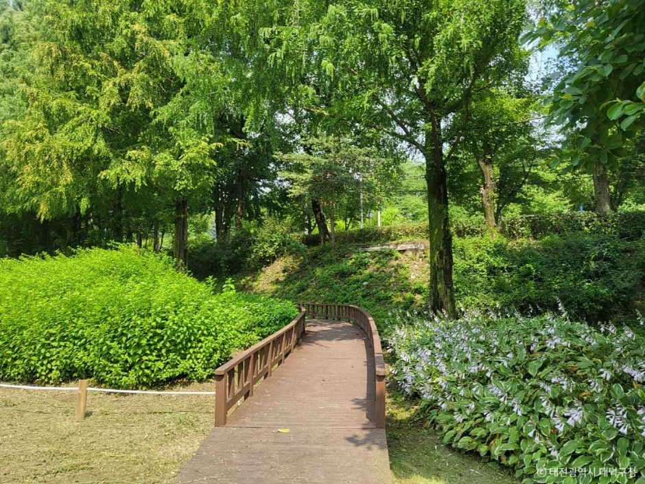 금강로하스 대청공원 (암석식물원) 이미지 4