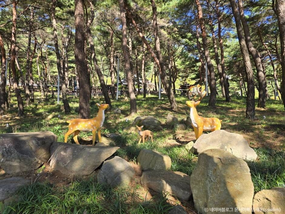 지리산정원 이미지 2
