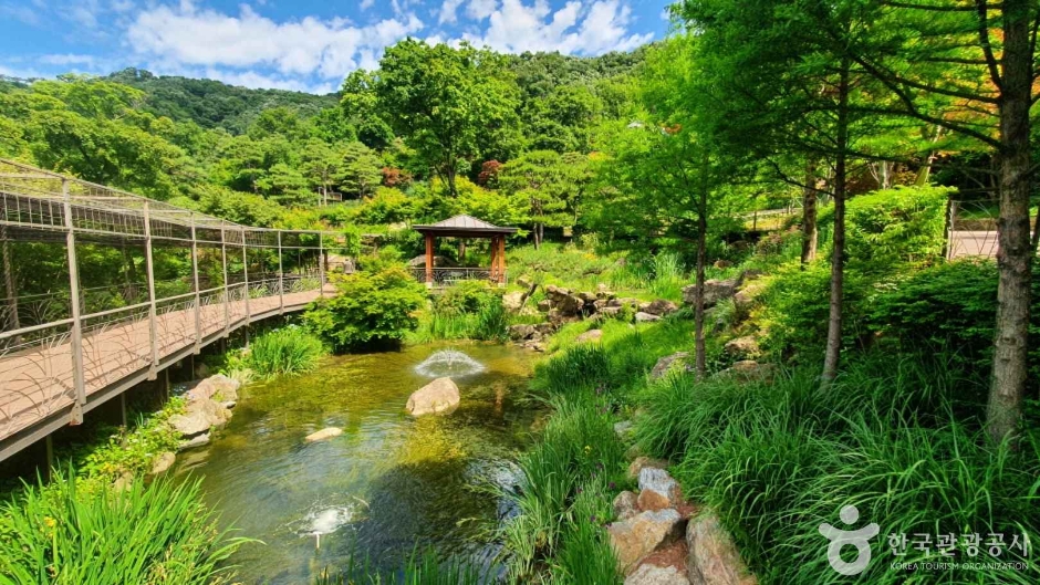 화담숲 이미지 3