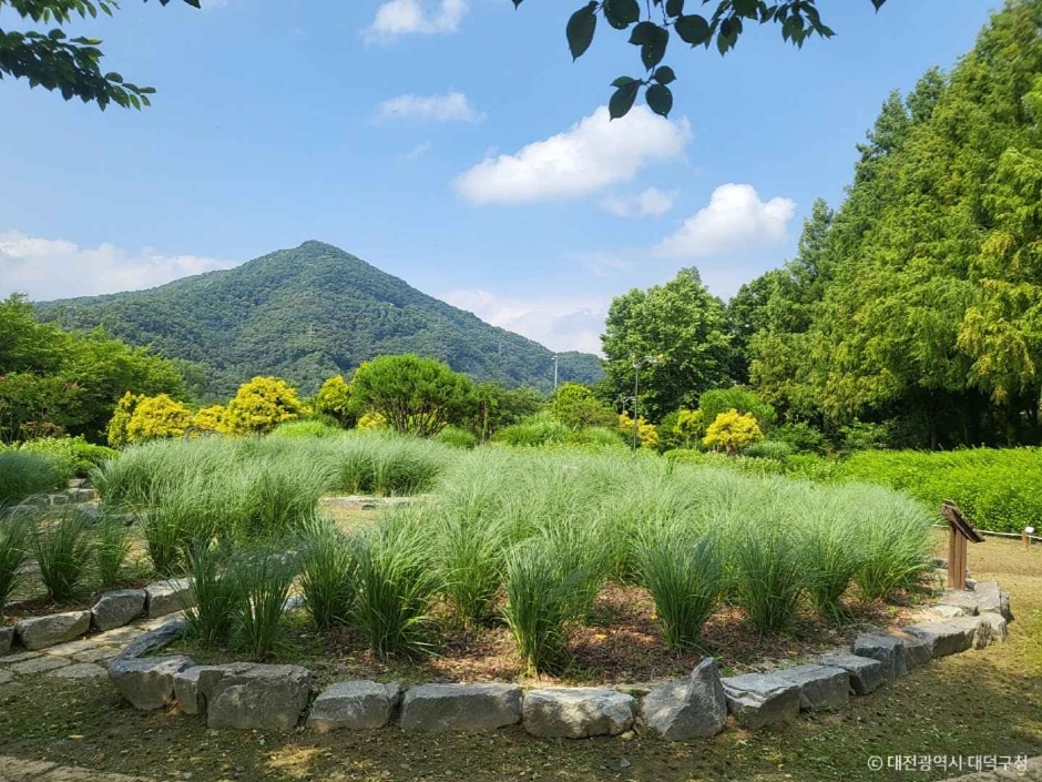 금강로하스 대청공원 (암석식물원) 이미지 3