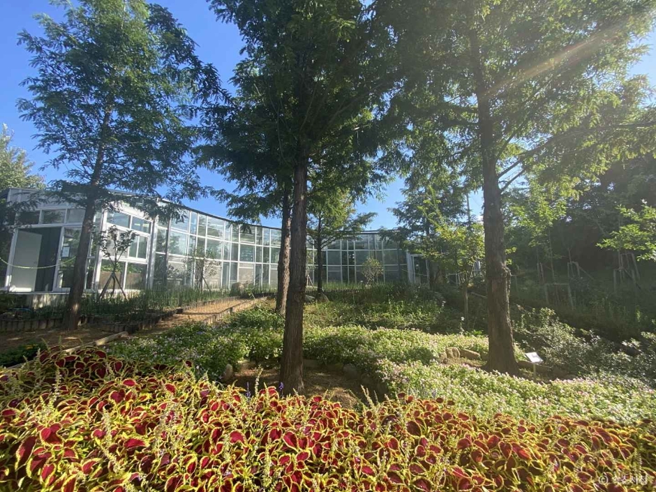 설악산 자생식물원 이미지 1