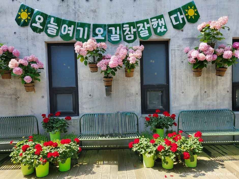 평강식물원 이미지 2