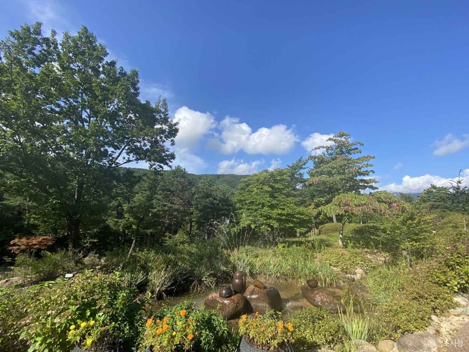 설악산 자생식물원 이미지 3