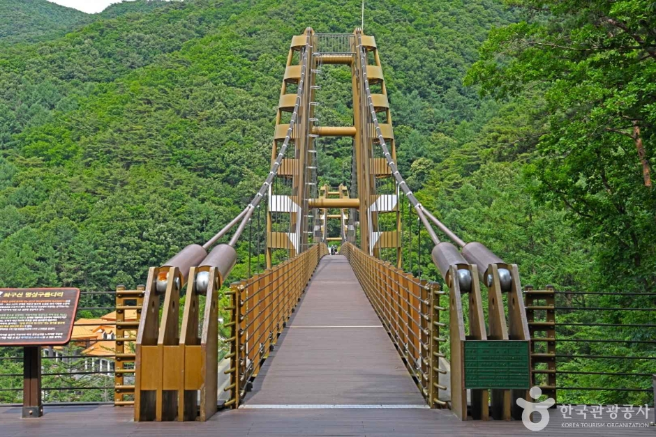 증평 좌구산 명상구름다리 이미지 1