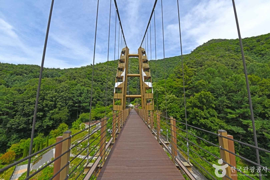 증평 좌구산 명상구름다리 이미지 2