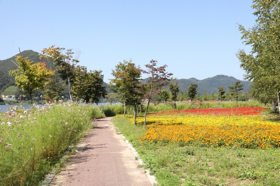 화천 반지교&아를테마수목공원 이미지 5