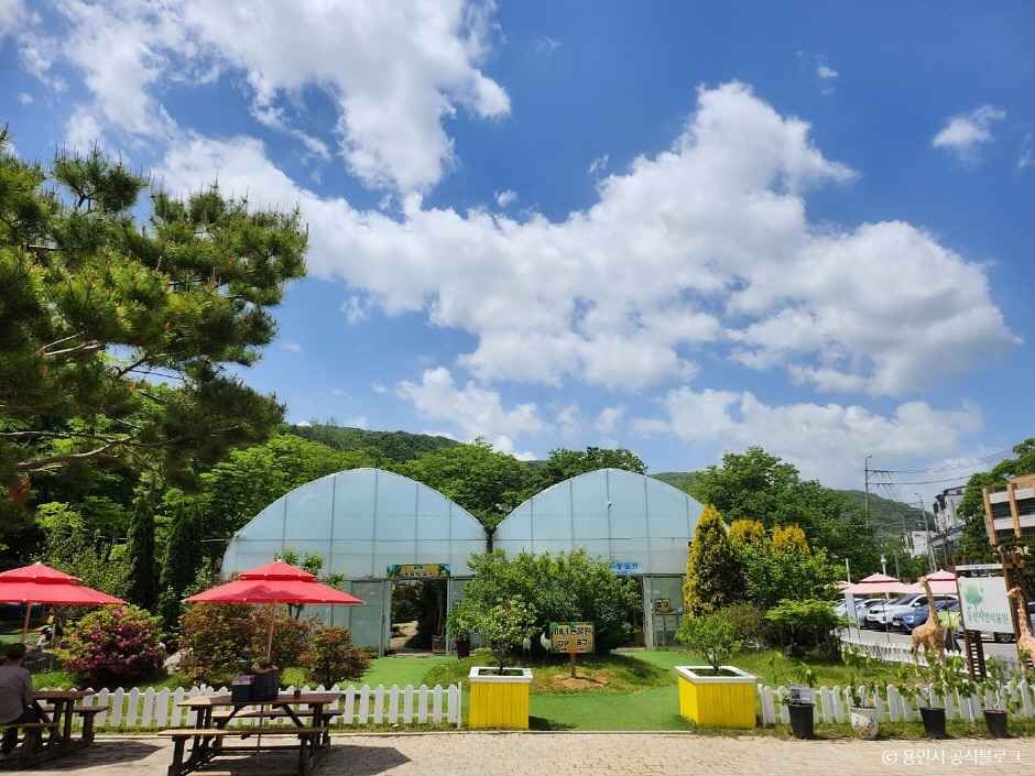 동천자연식물원 이미지 3