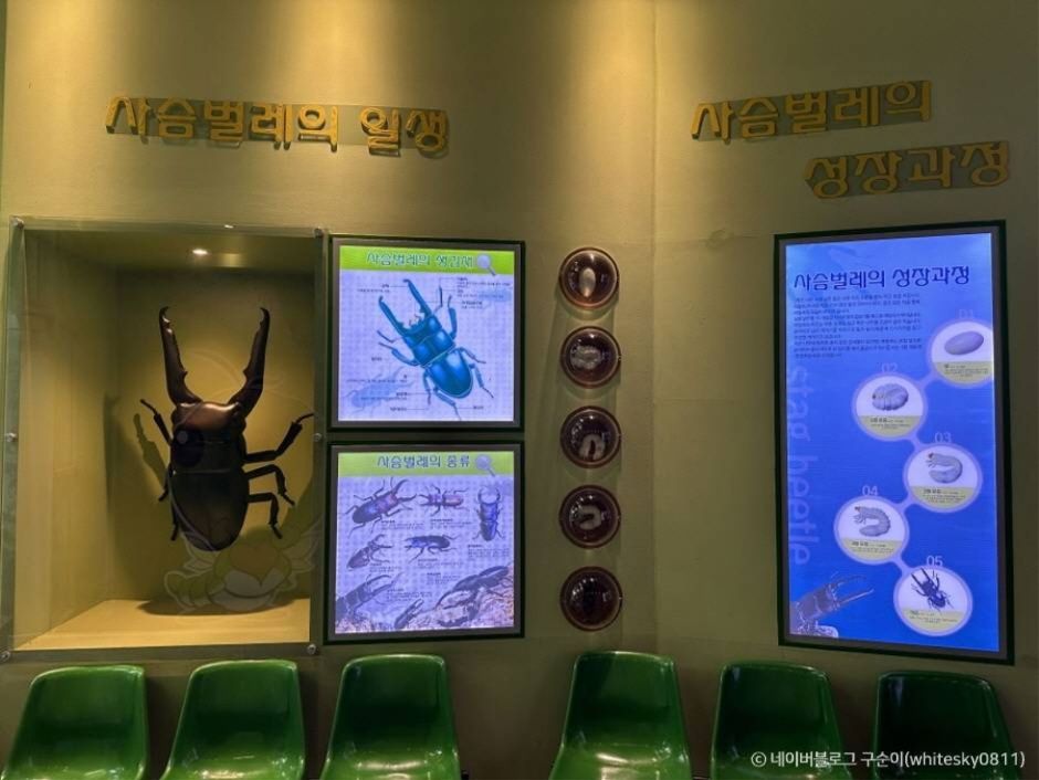 가야산 야생화식물원 이미지 5