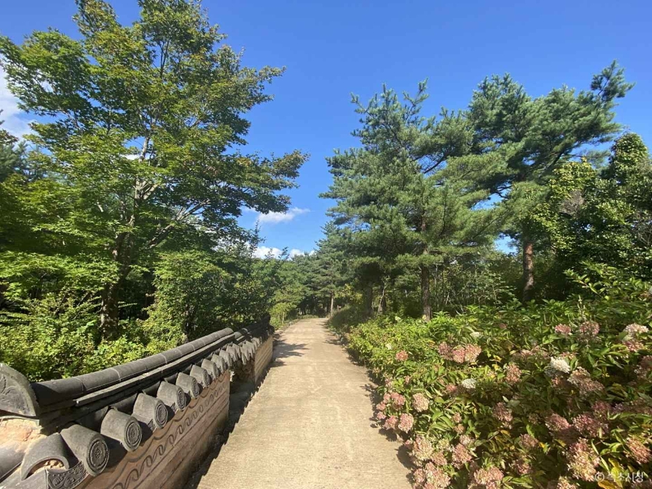 설악산 자생식물원 이미지 4