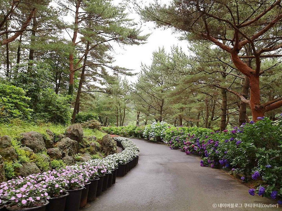 상효원수목원/상효원 이미지 4