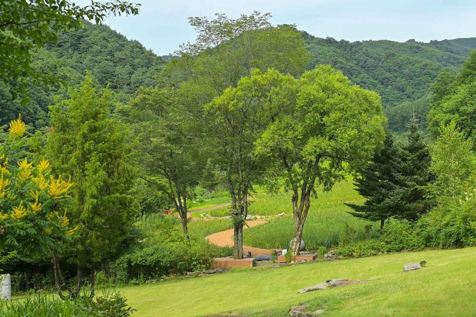 국립한국자생식물원 이미지 2
