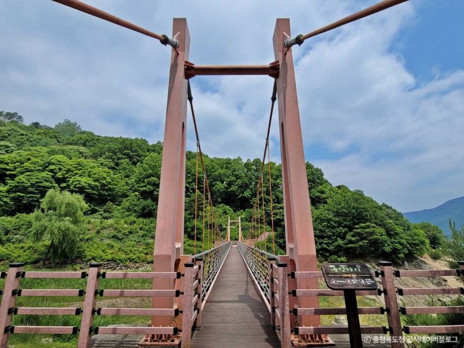 충주호 출렁다리 (종댕이길 출렁다리) 이미지 2