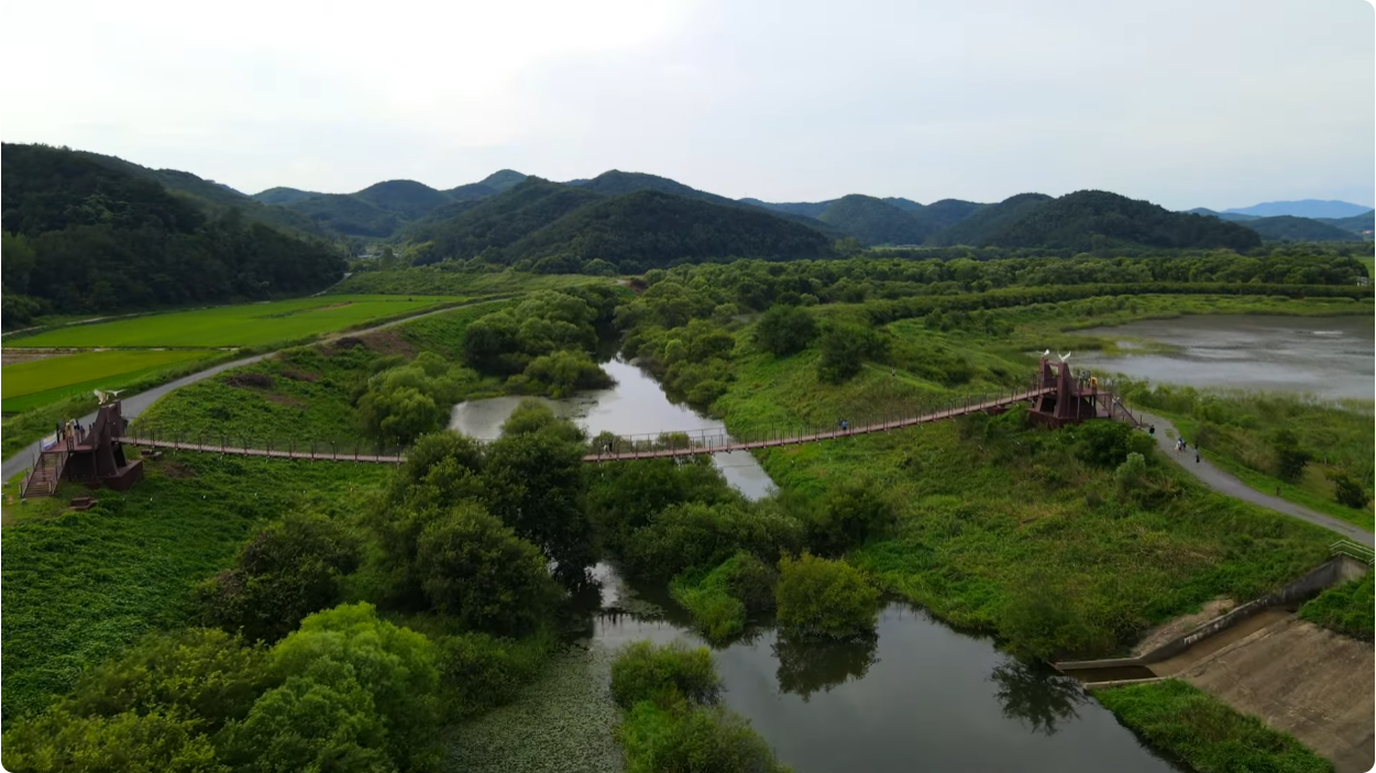 우포 출렁다리 이미지 2