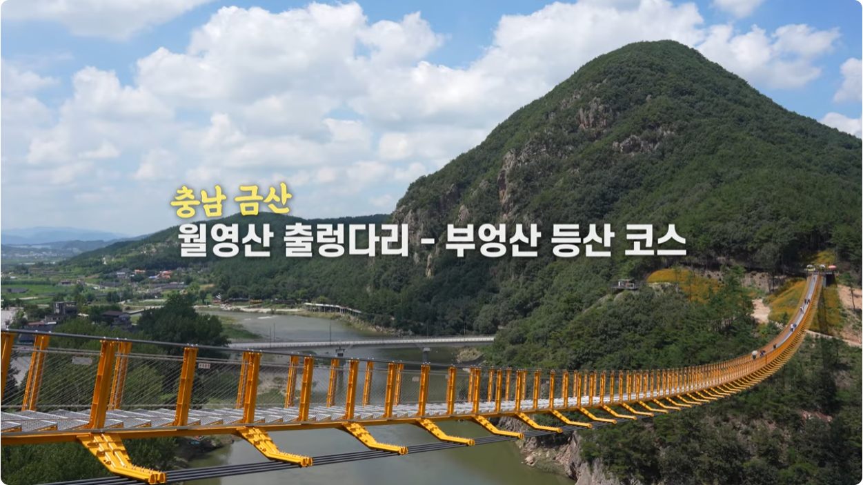 월영산 출렁다리 이미지 1