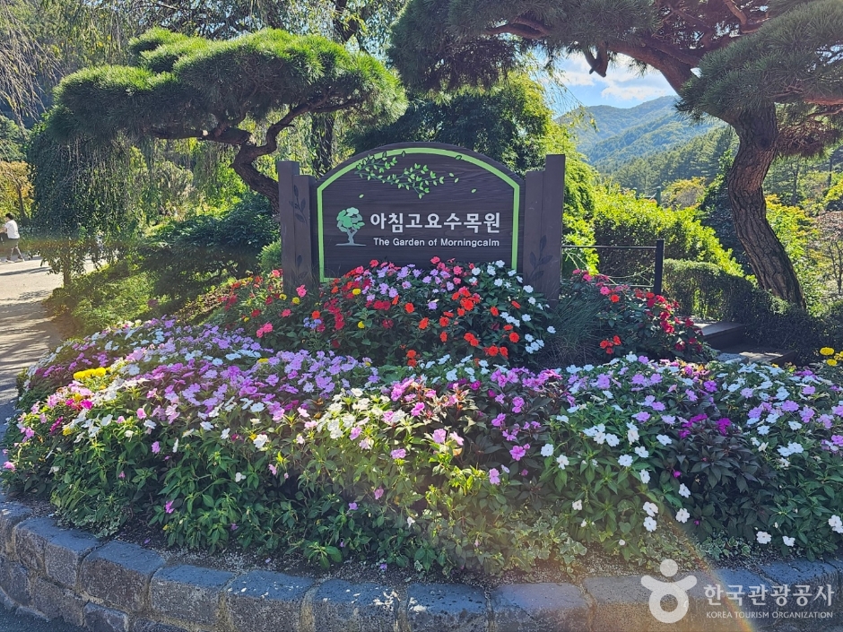 아침고요수목원 이미지 3