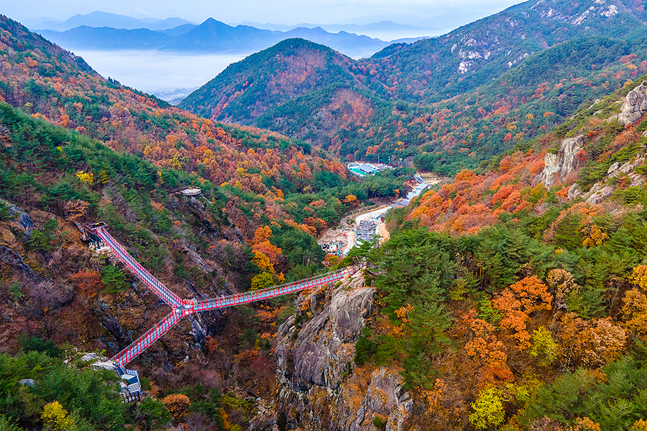 거창  Y자형 출렁다리 이미지 2