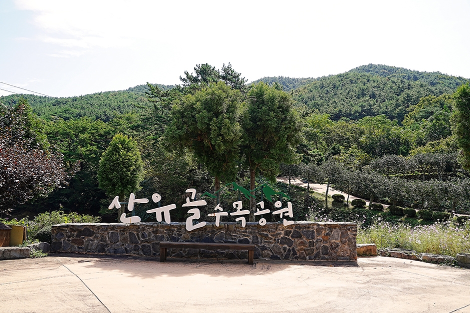 산유골수목공원 이미지 1