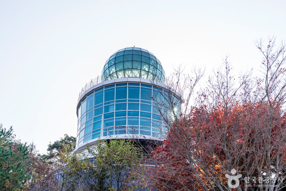 단양 양방산전망대 이미지 2