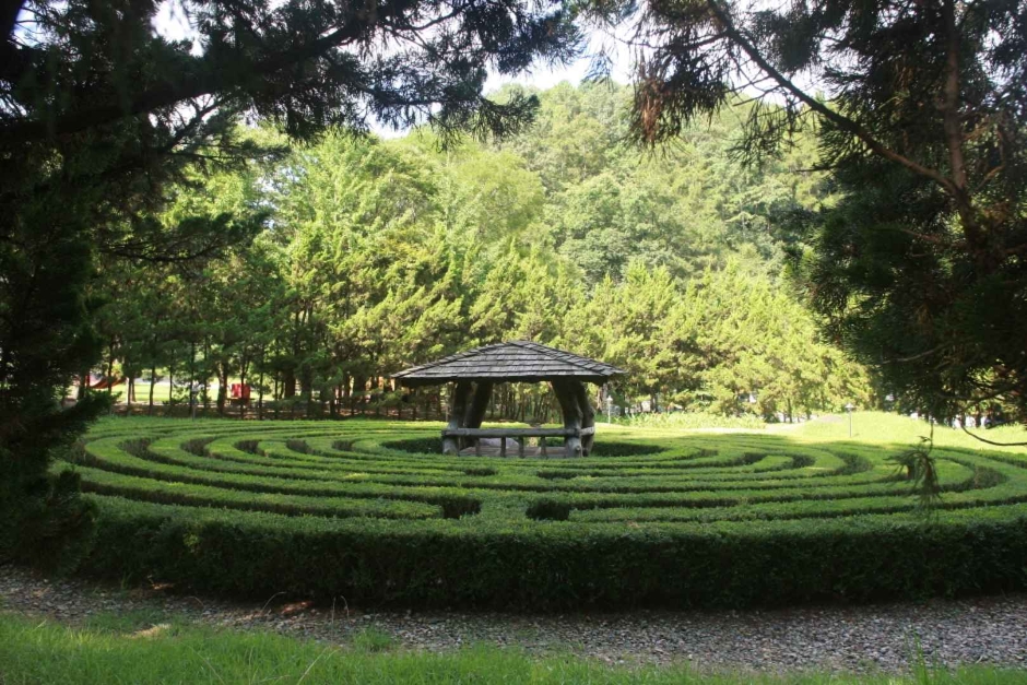 금산 지구별그림책마을 이미지 1