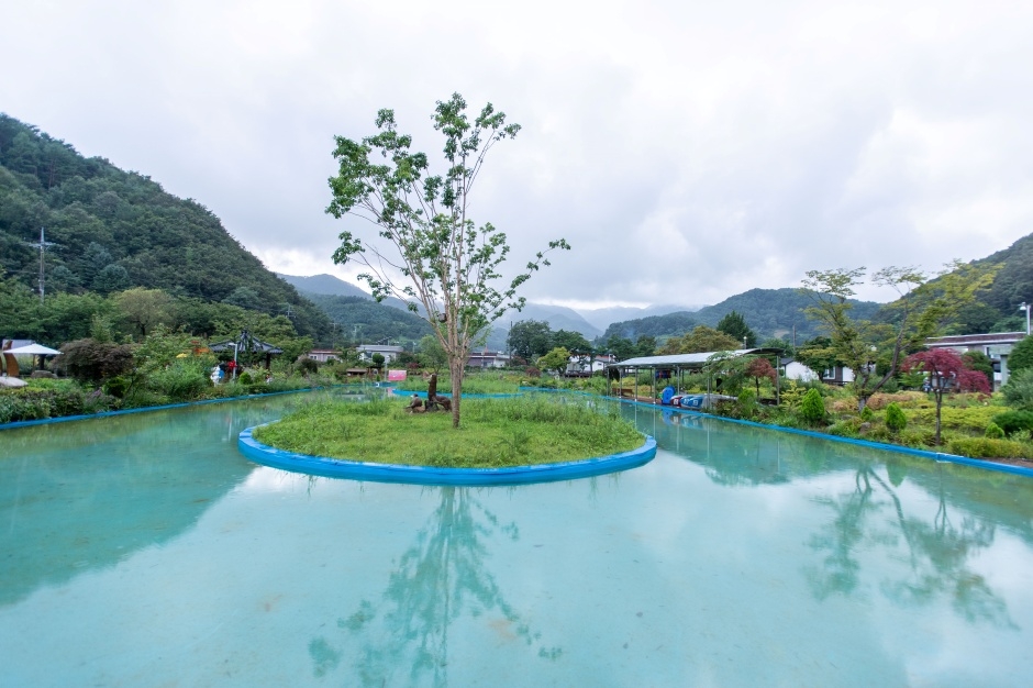 삼척 미로정원 이미지 4