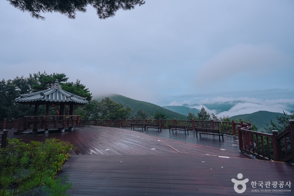 보령 옥마산 이미지 5