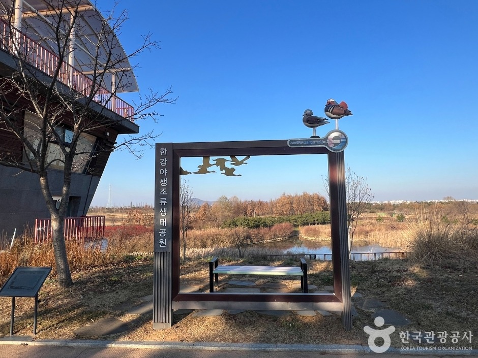 김포한강야생조류생태공원 이미지 3
