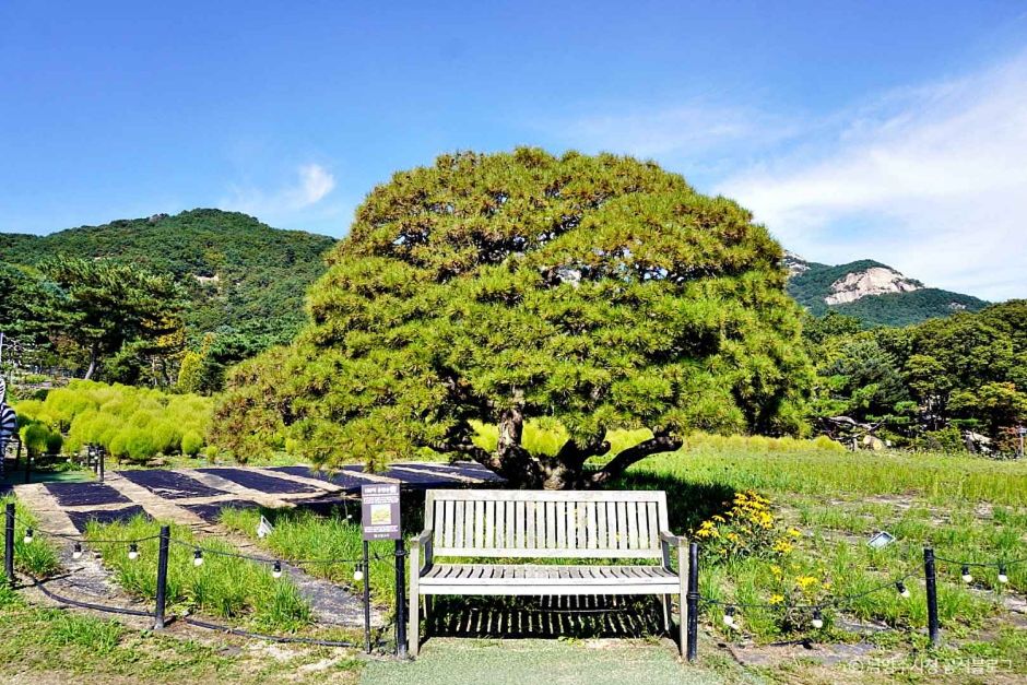 산들소리 이미지 1