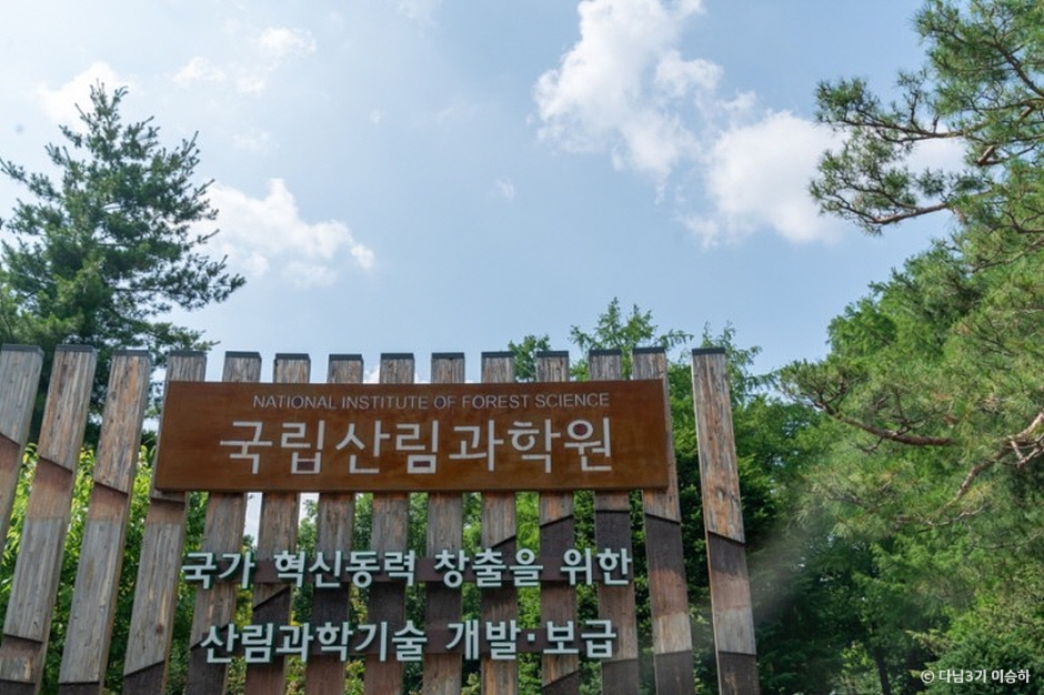 홍릉숲 이미지 2