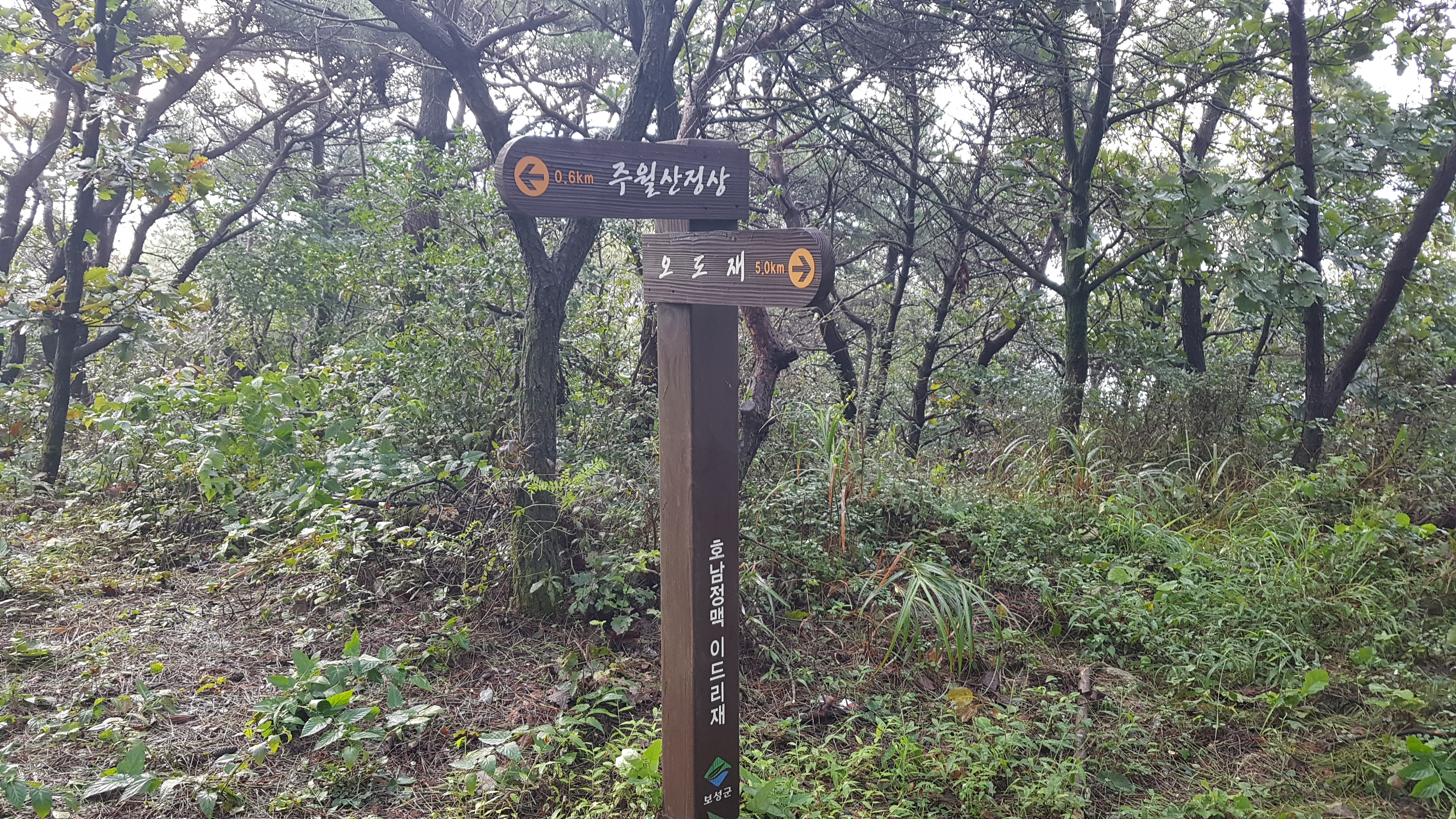 숲정원 윤제림 이미지 6