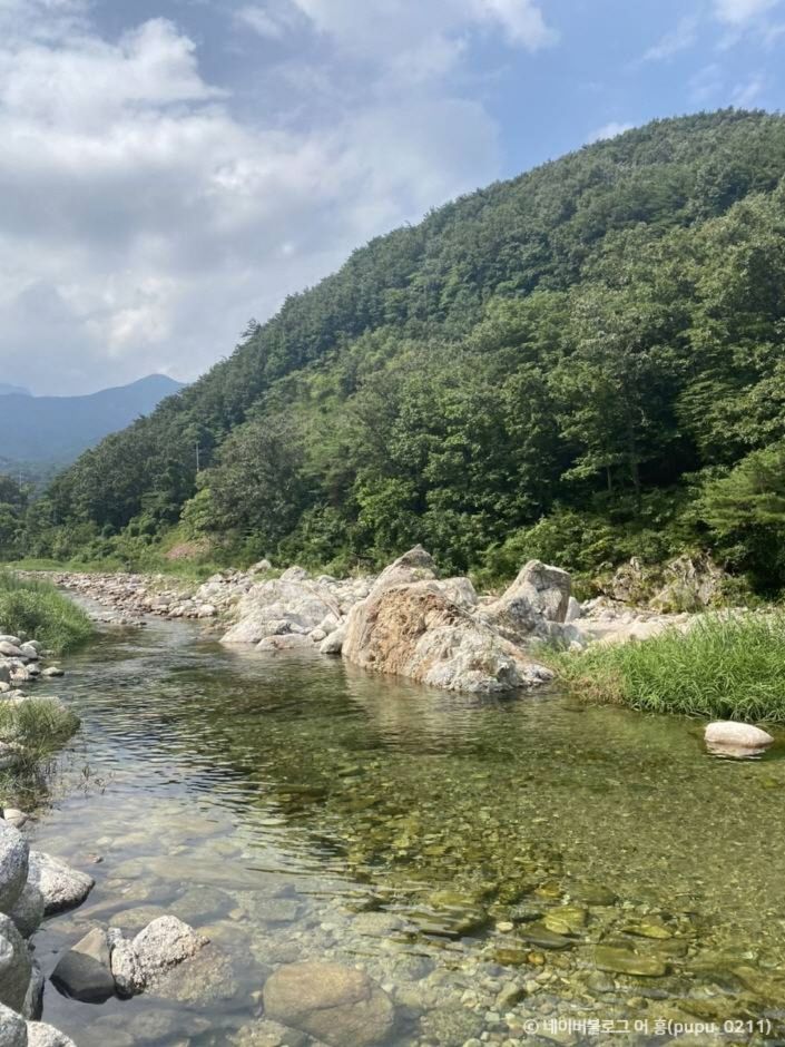 오색허브농원 이미지 2