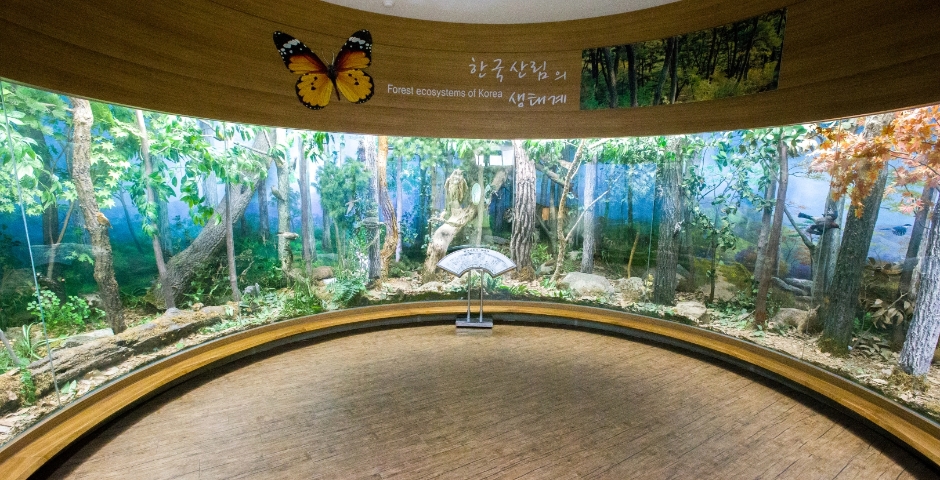 충청남도 산림박물관 이미지 2