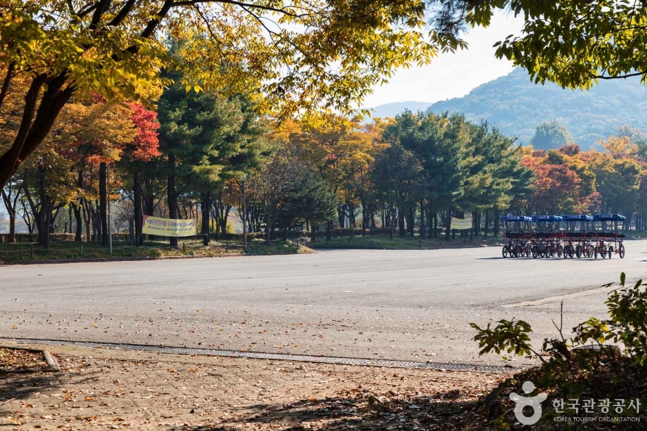 인천대공원 이미지 5