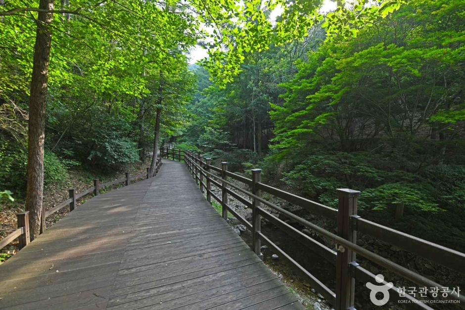 봉학골산림욕장 이미지 3